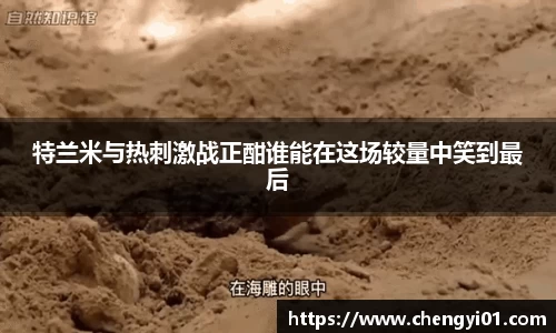 k1体育：特兰米与热刺激战正酣谁能在这场较量中笑到最后